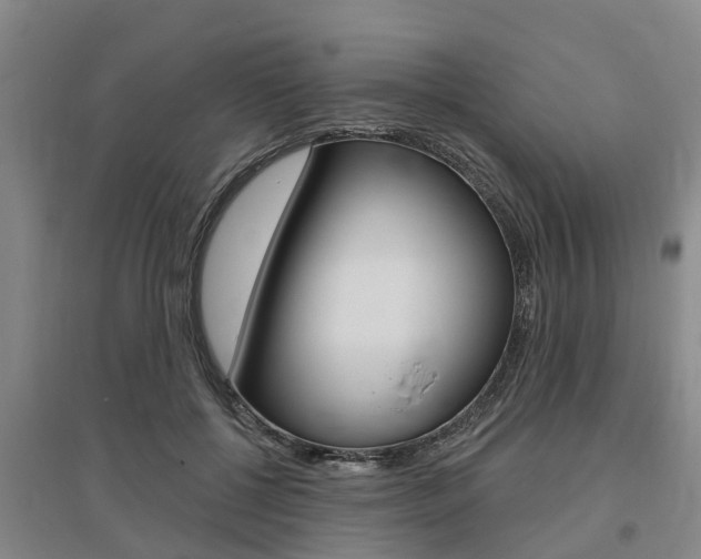 X0000095930552200801110921