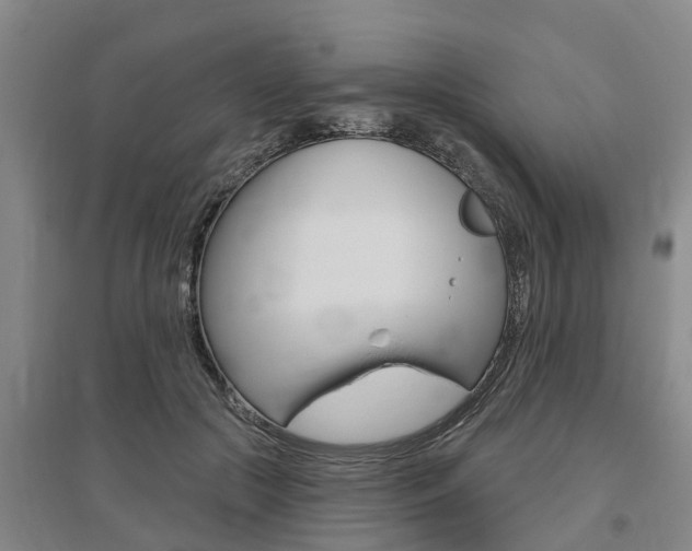 X0000095930553200801110921