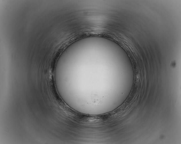 X0000095930555200801110921