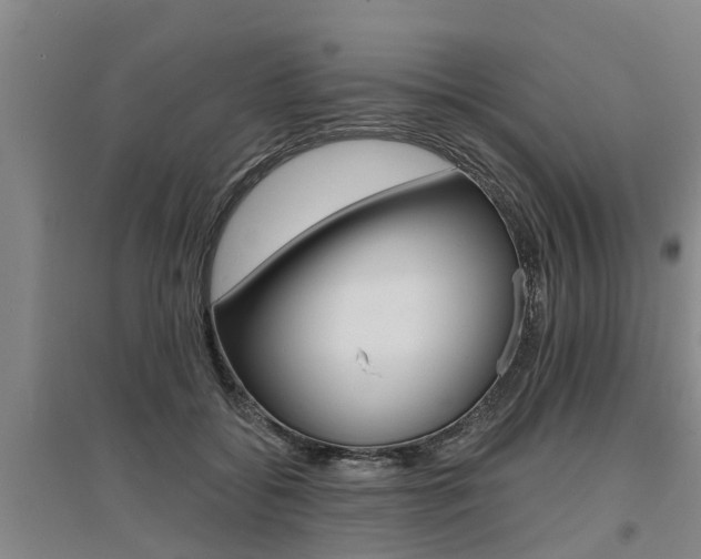X0000095930556200801110921
