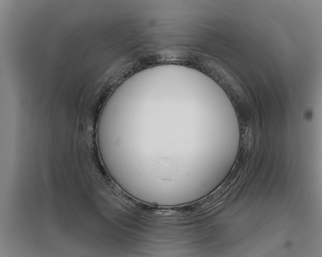 X0000095930557200801110921
