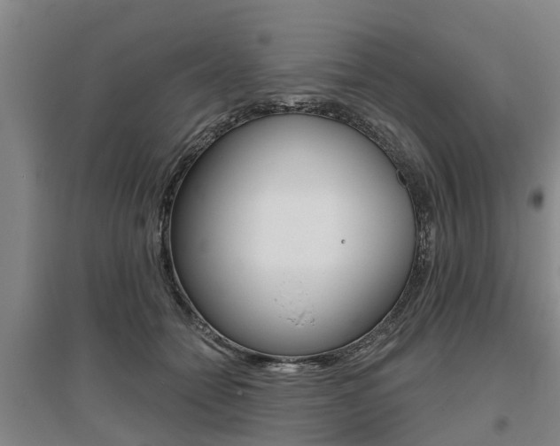 X0000095930558200801110921
