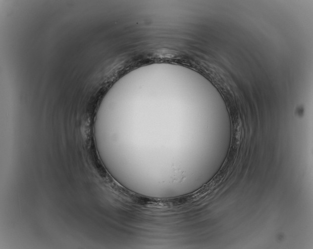 X0000095930559200801110921