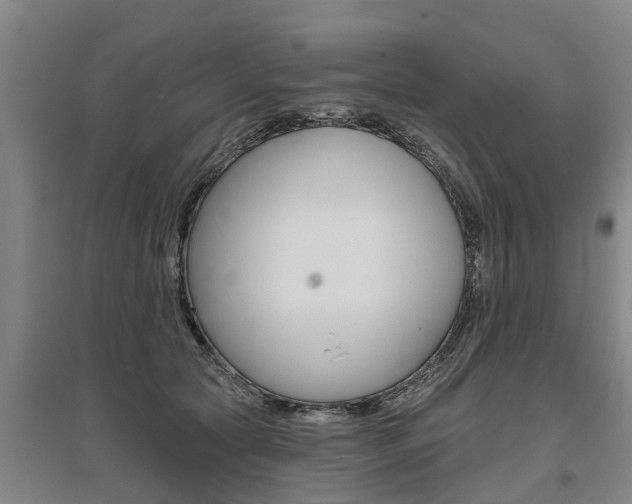 X0000095930561200801110921