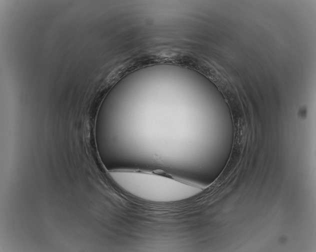 X0000095930562200801110921