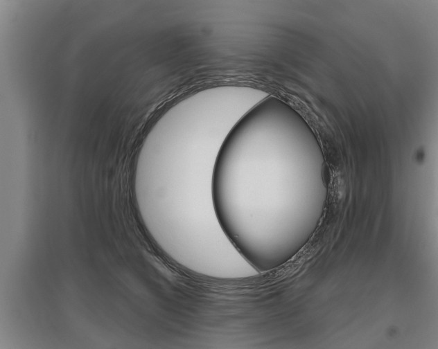X0000095930564200801110921