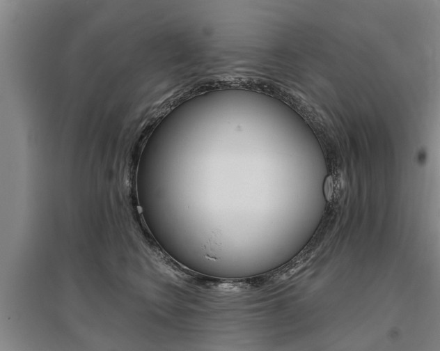 X0000095930566200801110921