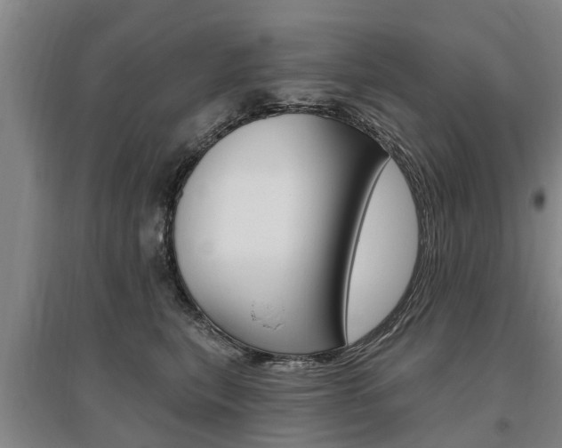 X0000095930567200801110921