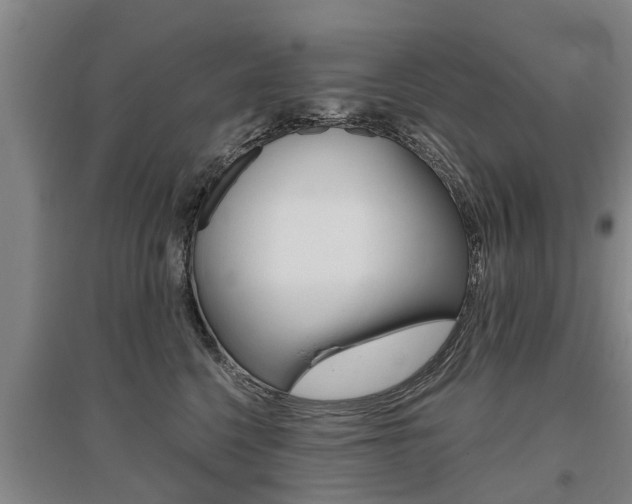 X0000095930568200801110921
