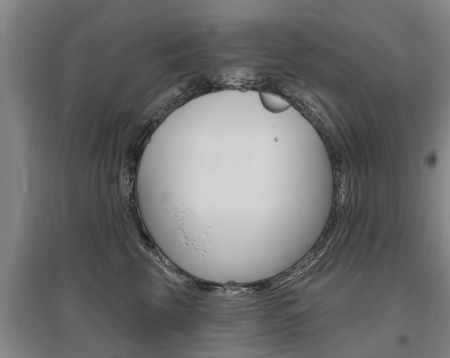 X0000095930569200801110921