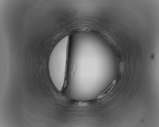 X0000095930570200801110921
