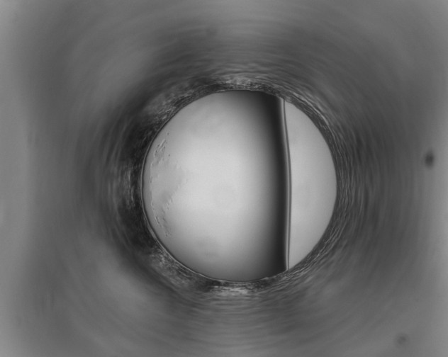 X0000095930572200801110921
