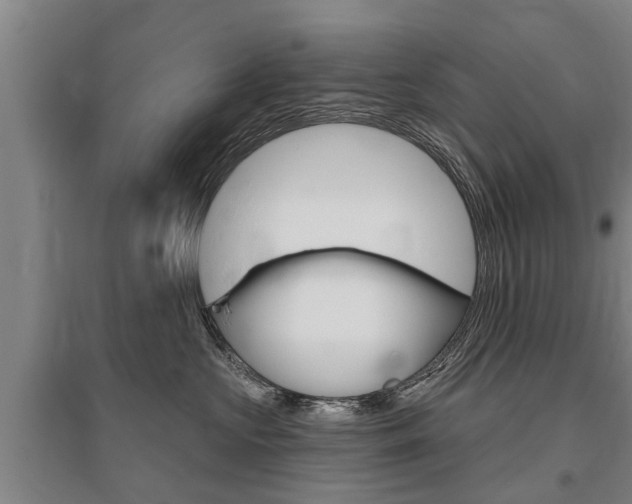 X0000095930573200801110921