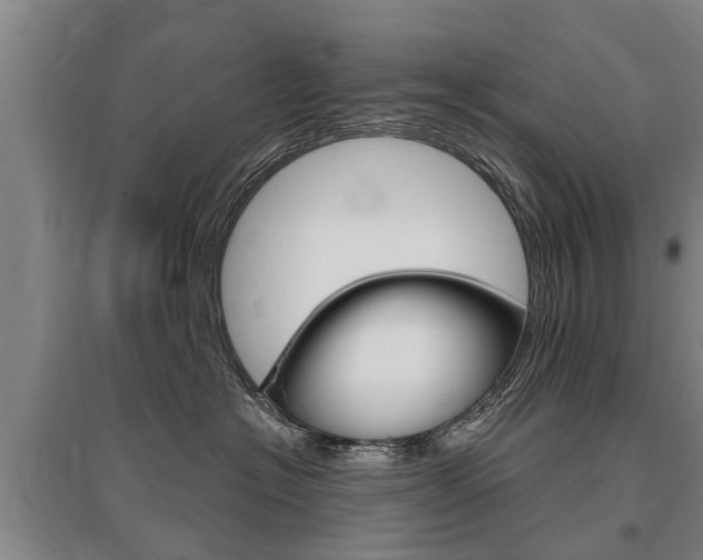 X0000095930574200801110921