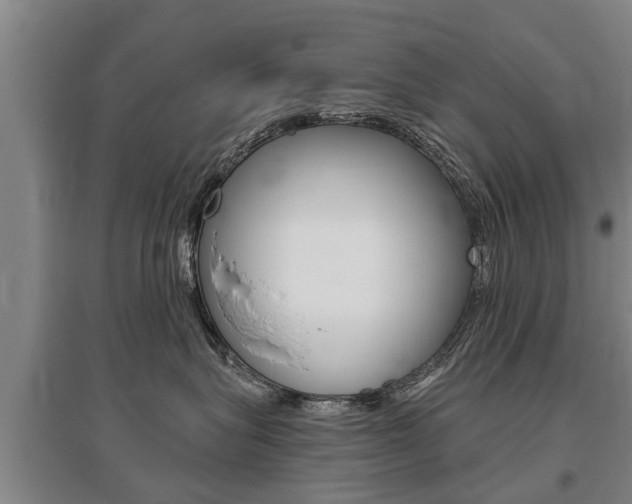 X0000095930575200801110921