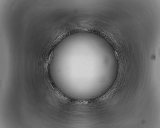 X0000095930576200801110921