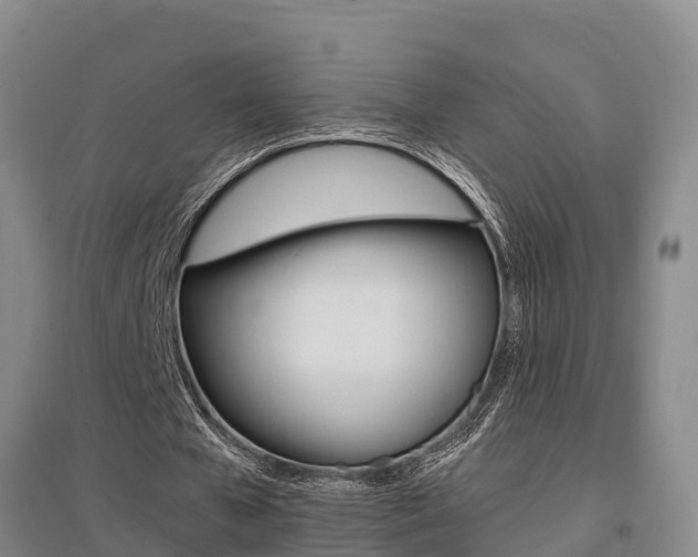 X0000095930577200801110921