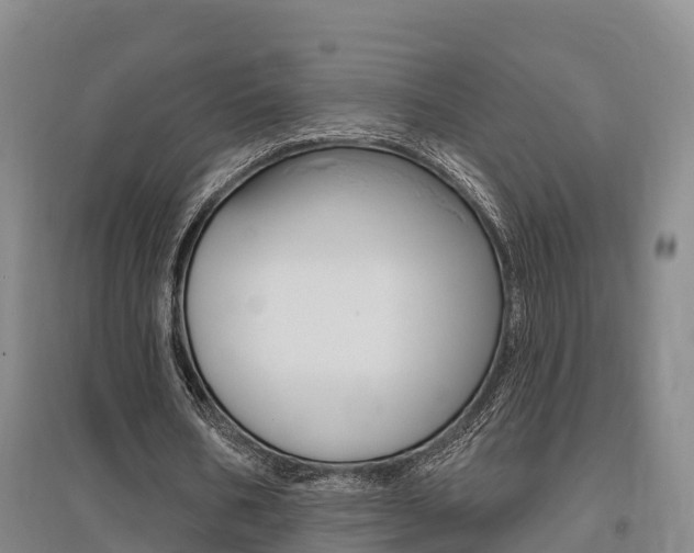 X0000095930578200801110921