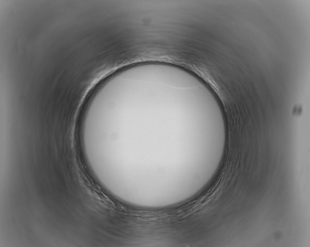 X0000095930579200801110921