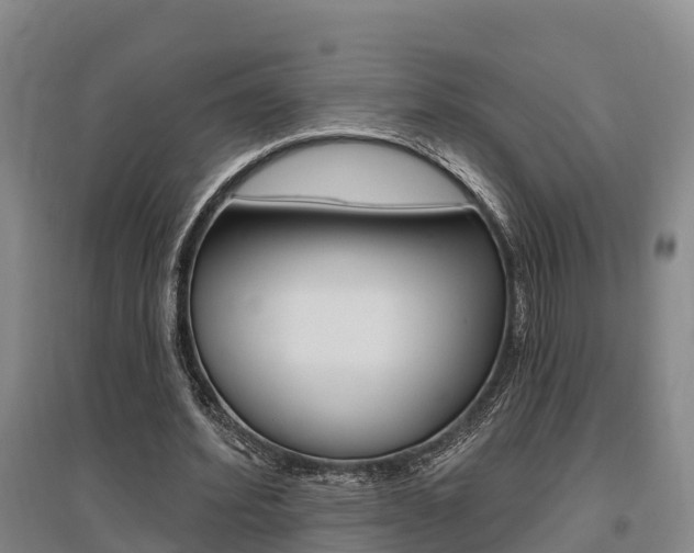X0000095930580200801110920