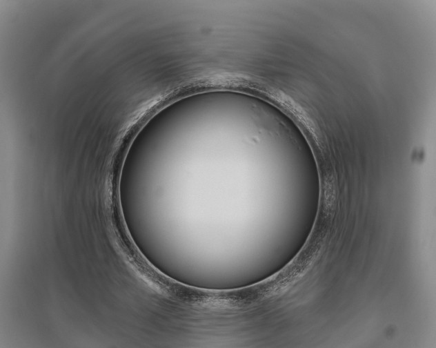 X0000095930581200801110920