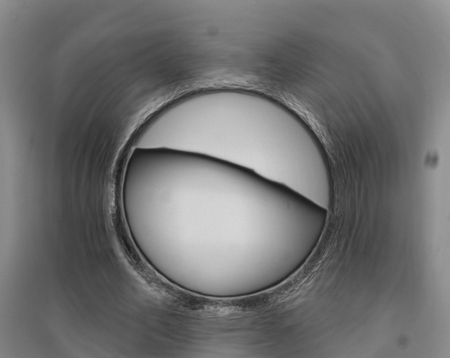X0000095930582200801110920
