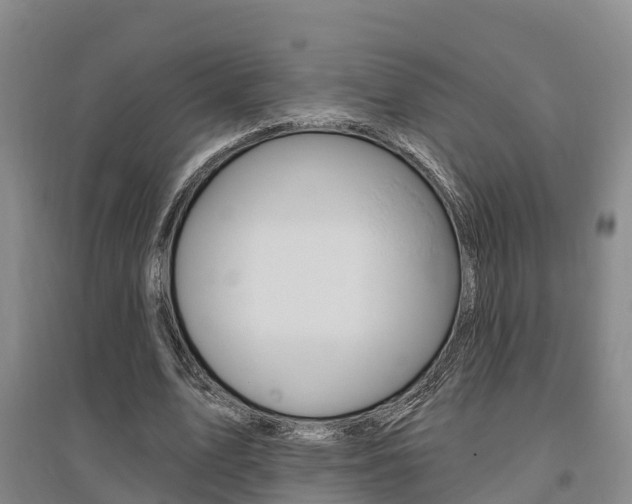 X0000095930583200801110920