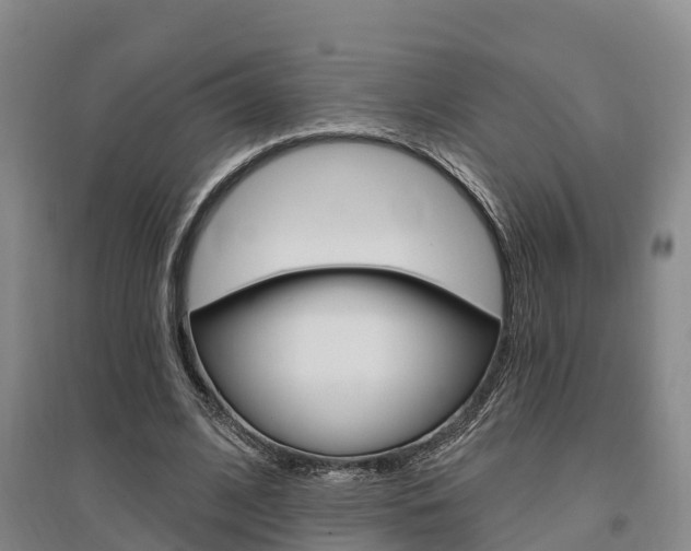 X0000095930584200801110920