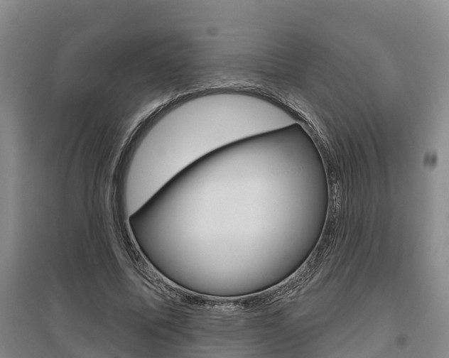 X0000095930587200801110920