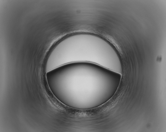 X0000095930588200801110920