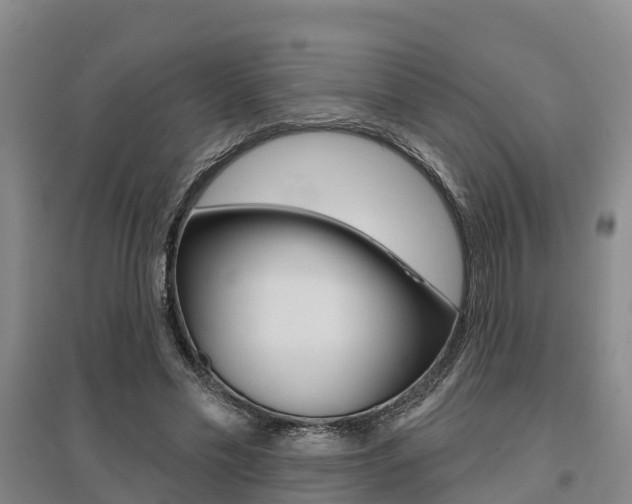 X0000095930589200801110920