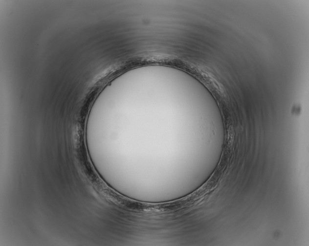 X0000095930591200801110920