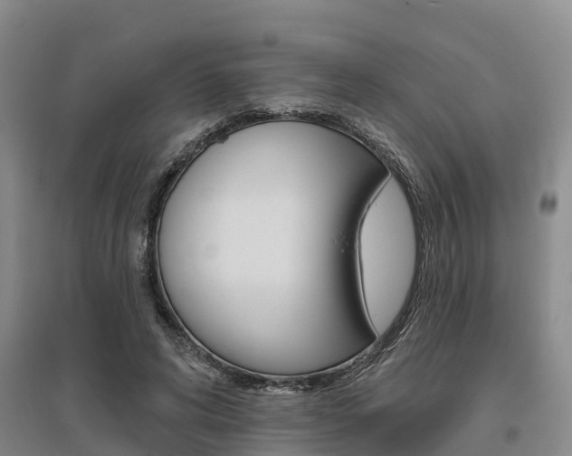 X0000095930592200801110920