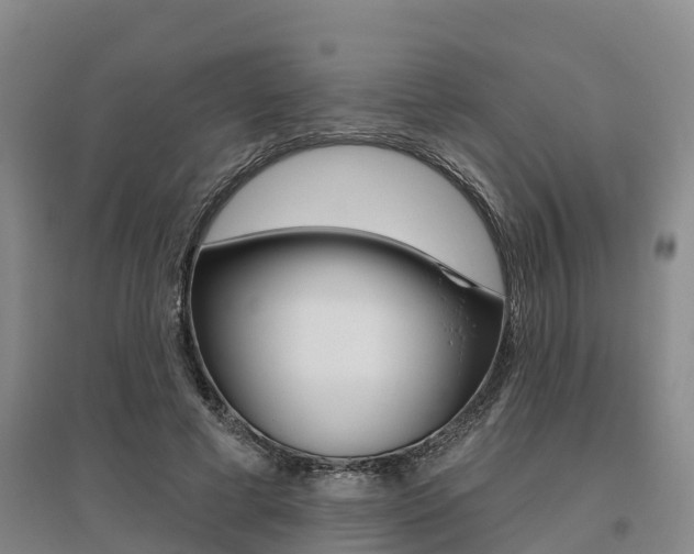 X0000095930593200801110920