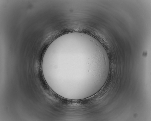 X0000095930594200801110920