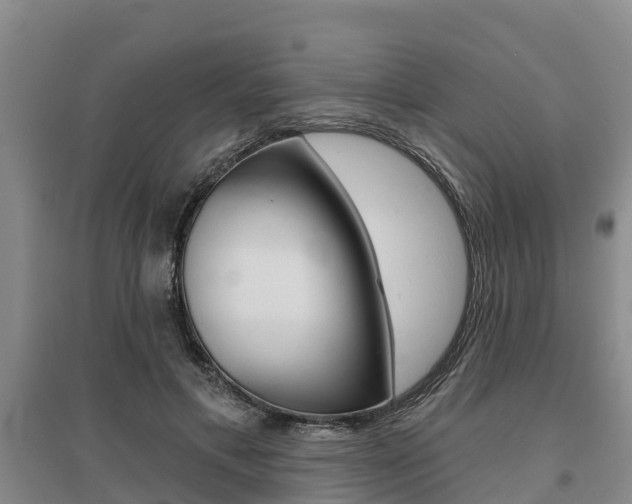 X0000095930597200801110920