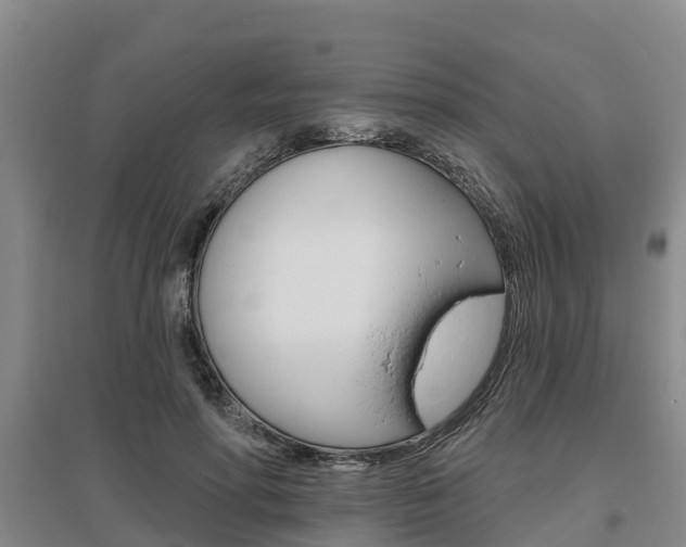X0000095930598200801110920