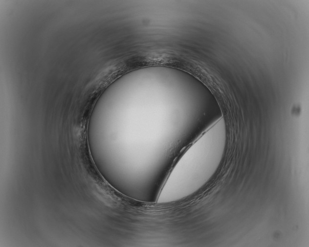 X0000095930601200801110920