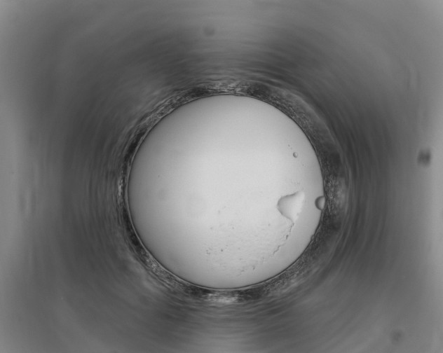 X0000095930602200801110920