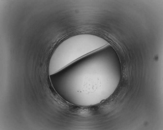 X0000095930604200801110920