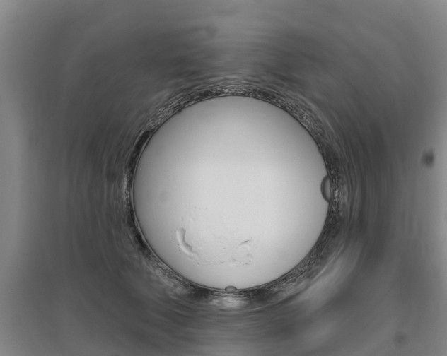 X0000095930610200801110920