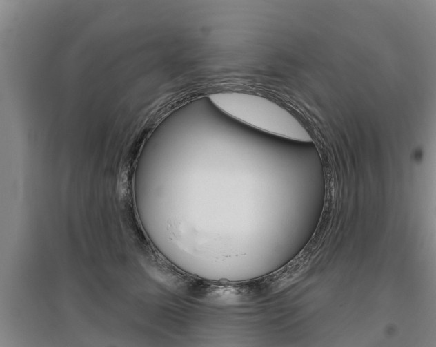 X0000095930611200801110920