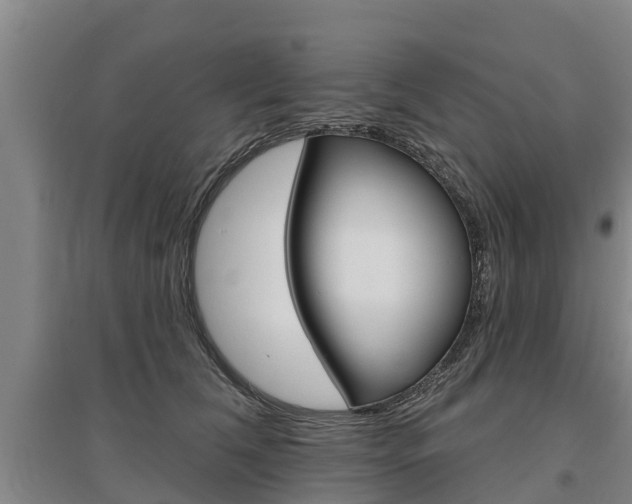 X0000095930612200801110920