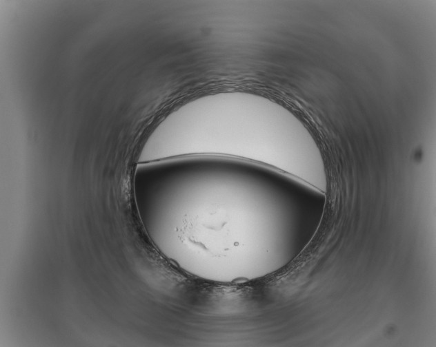 X0000095930613200801110920