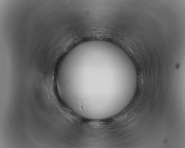 X0000095930615200801110920