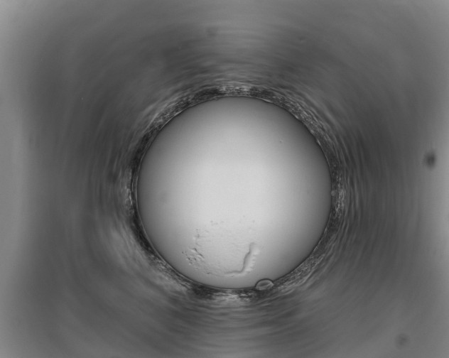 X0000095930616200801110920