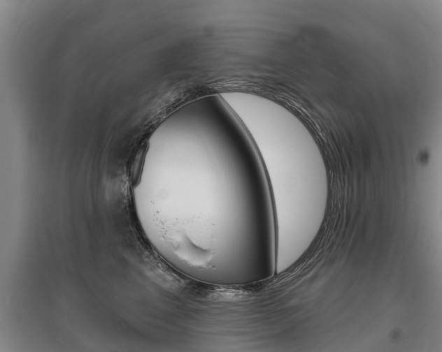 X0000095930617200801110920