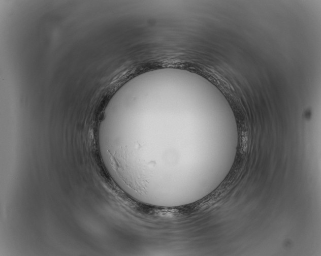 X0000095930618200801110920