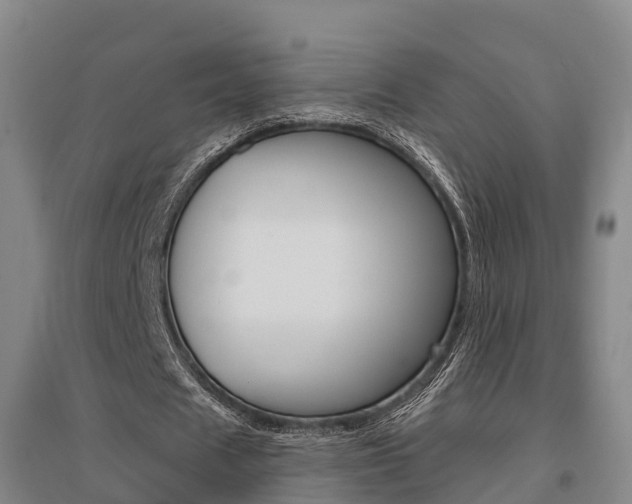 X0000095930625200801110919