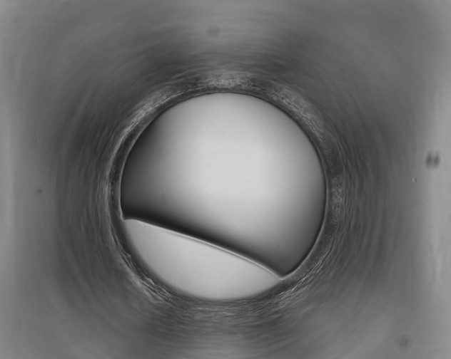 X0000095930626200801110919